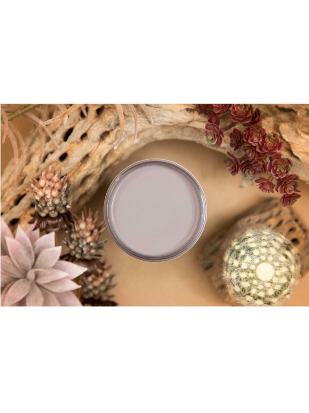New Sealed Morning‎ Sunrise Dixie Belle Silk All-in-One Mineral Paint 16oz